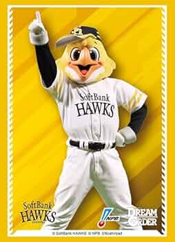 51+sLx7fAnL._AC_UF350,